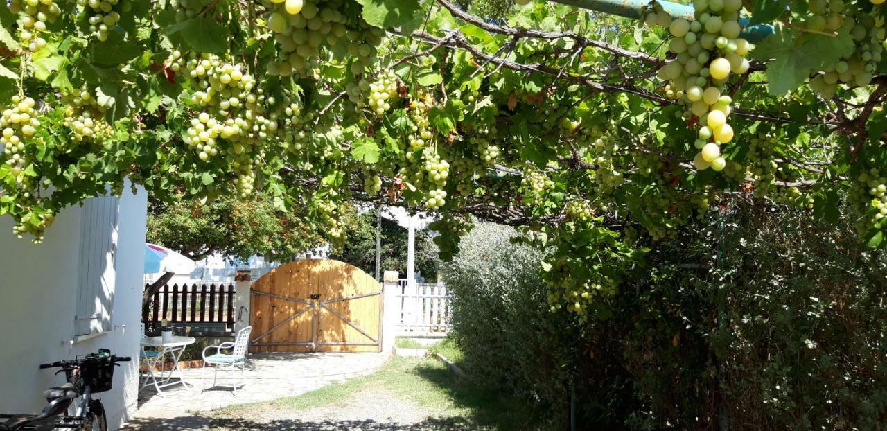 Le Flamant Rose Bed & Breakfast Salin-de-Giraud Exterior photo